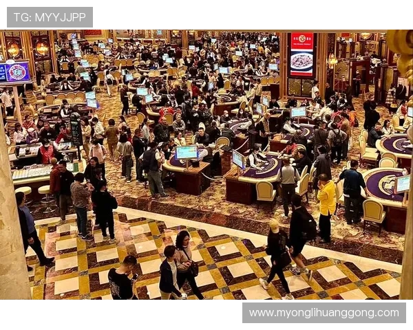 澳门十大赌场的奢华体验与独特魅力全面解析