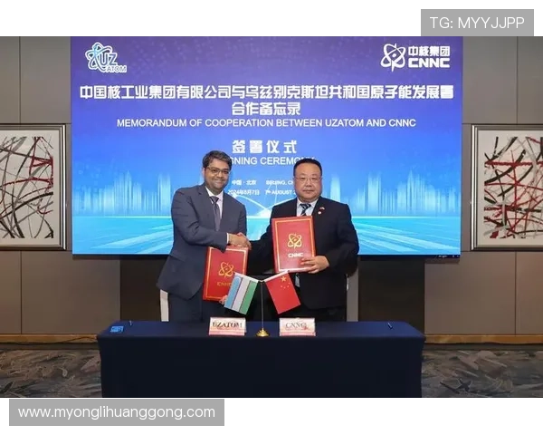 华都娱乐有限公司的合作伙伴与品牌联盟关系详解及未来合作前景