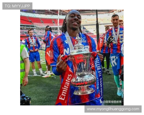 在水晶宫俱乐部官网获取球队最新动态、转会消息及官方合作伙伴信息