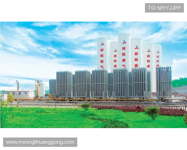 永利3044官网集团全面介绍及最新动态，助您了解行业发展趋势与公司实力