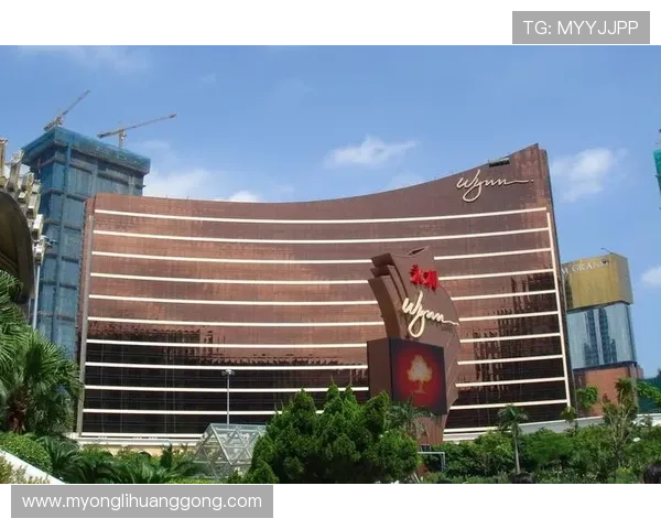 永利澳門有限公司的财务状况与投资价值分析，为投资者提供专业参考依据