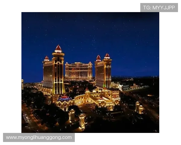 澳门永利登录娱乐平台如何保障玩家资金安全与隐私保护措施详解