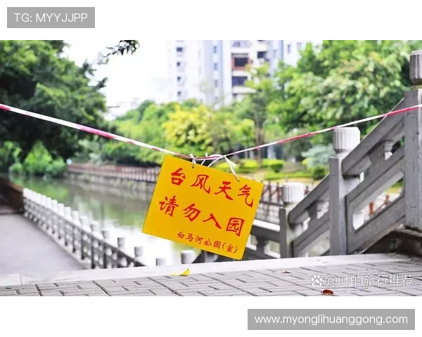 澳门赌博新址安全保障措施详解，保障游客权益的最新措施与政策